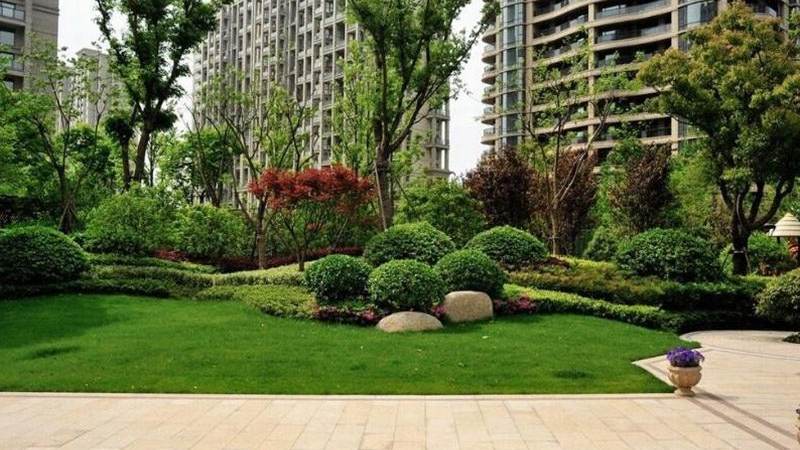 世界杯预选赛怎么看懂：赛制、积分与出线形势判断指南